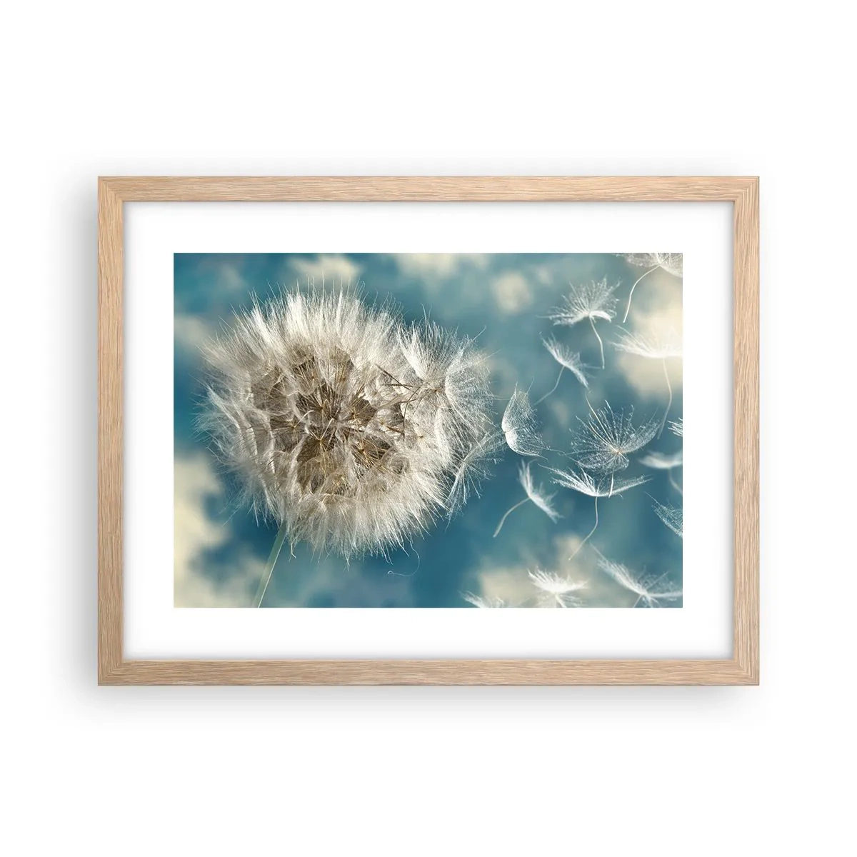 Poster in cornice rovere chiaro - Il respiro dell'angelo - 40x30 cm