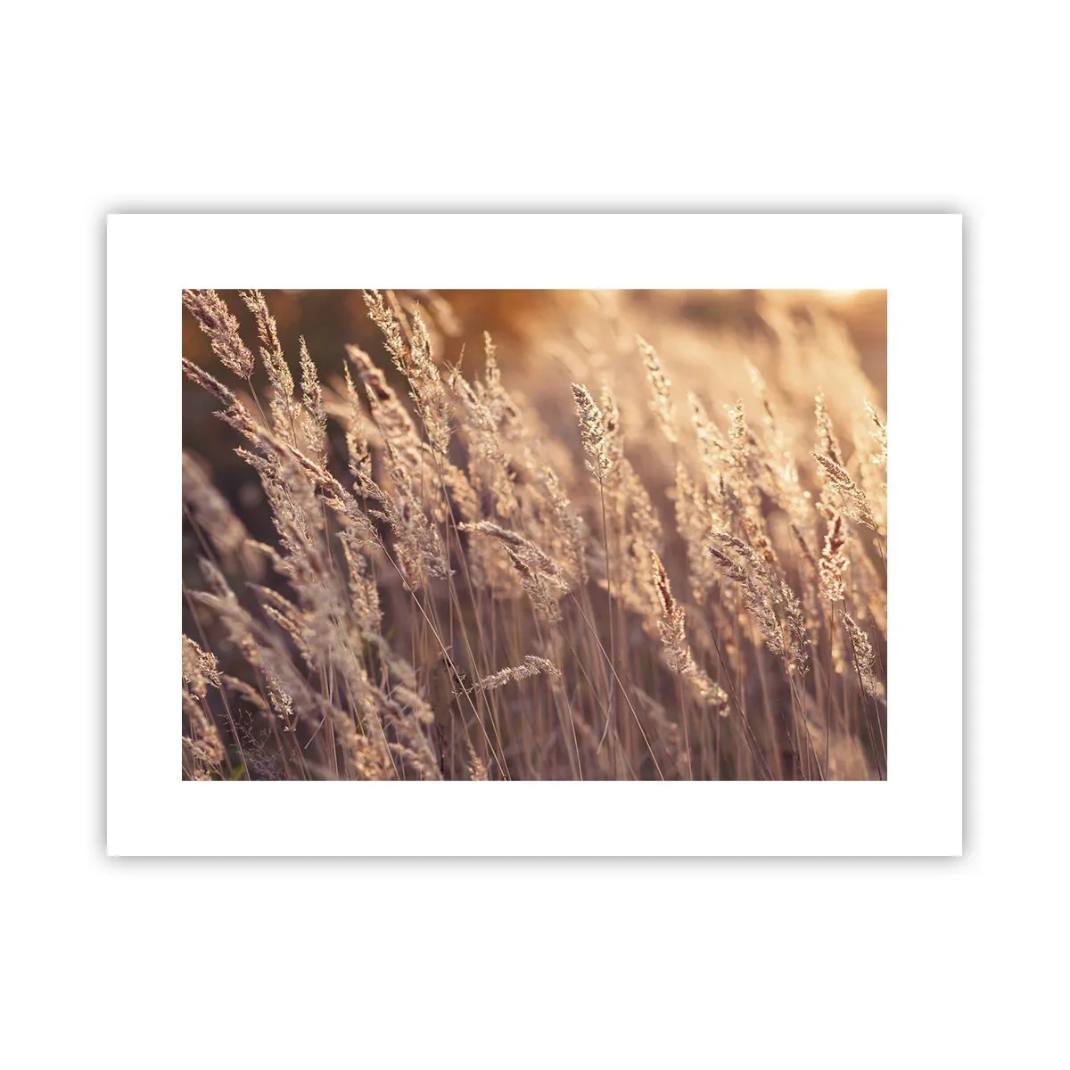 Poster - Pronti a salutare l'autunno - 40x30 cm