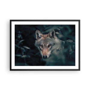 Poster in cornice nera - Un lupo nel suo ambiente naturale, che osserva dalle profondità della foresta. - 70x50cm - Cacciatore - Decorazione murale moderna per soggiorno e camera da letto ARTTOR