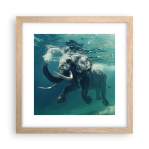 Poster in cornice rovere chiaro - Tutti amano nuotare - 30x30 cm