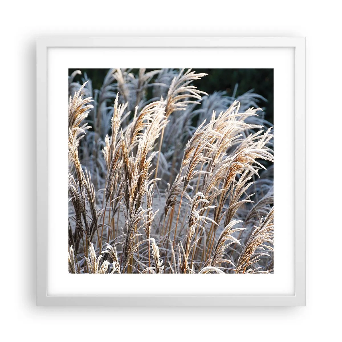 Poster in cornice bianca - Vestite di brina - 40x40 cm