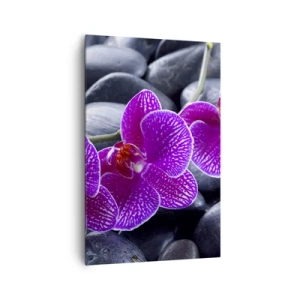 Quadro su tela - Stampe su Tela - Orchidee viola su uno sfondo di pietre nere - 80x120cm - Le pietre brillano di ammirazione - Decorazione murale moderna per soggiorno e camera da letto ARTTOR