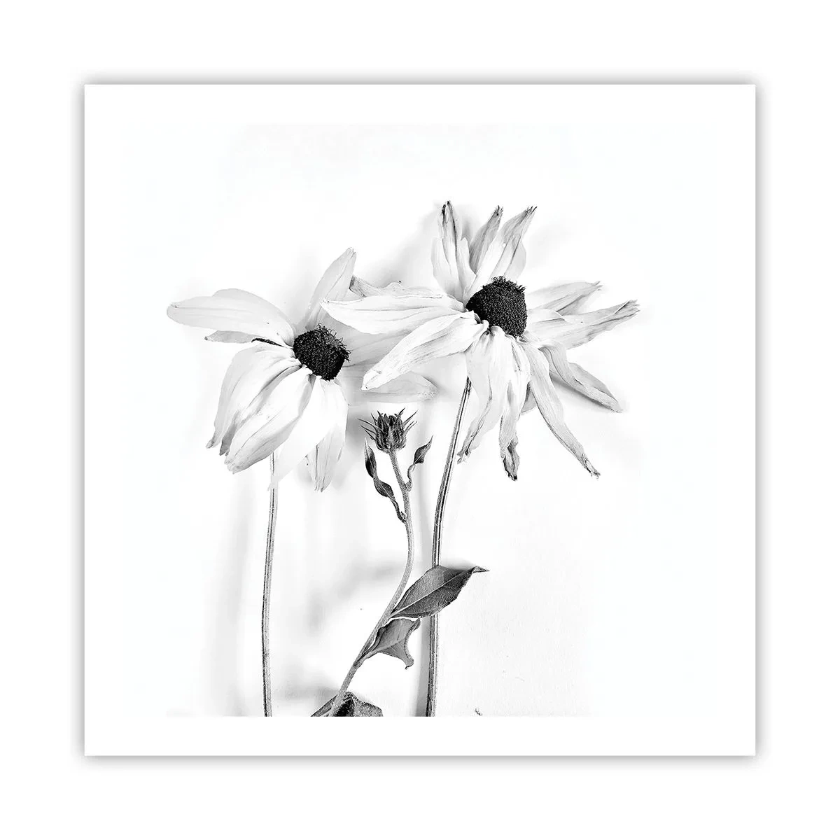 Poster - Nessuno vuole essere solo - 60x60 cm