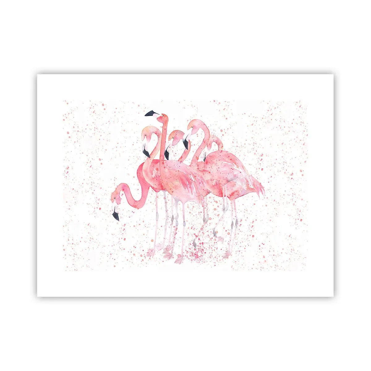 Poster - Gruppo in rosa - 40x30 cm