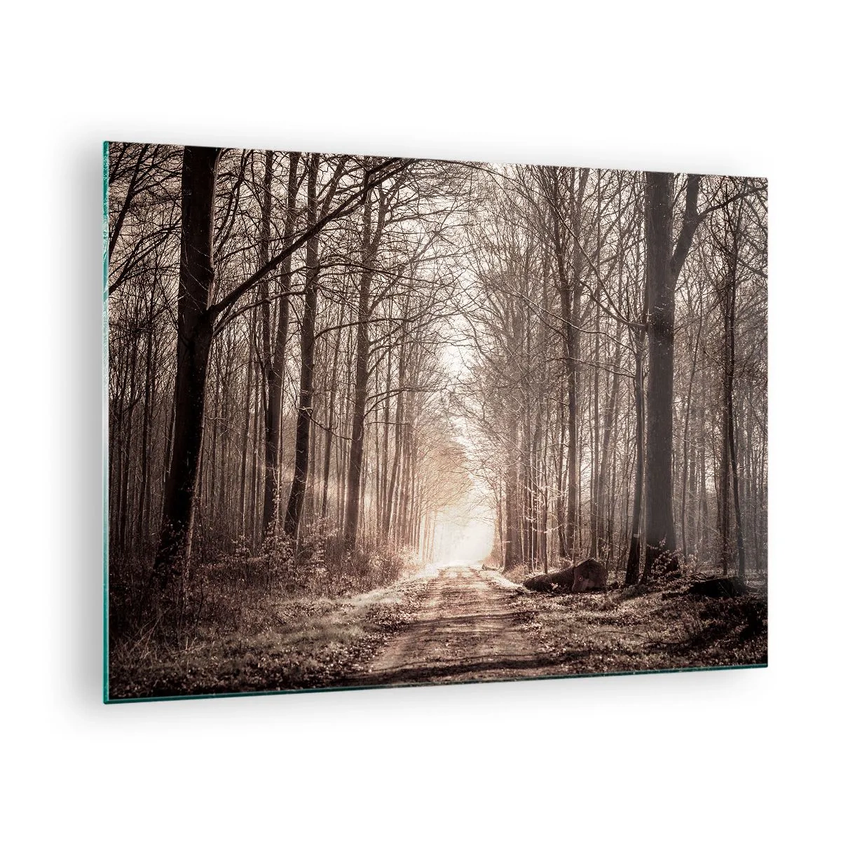 Quadro su vetro - Strada forestale nella nebbia mattutina - 70x50cm - La cattedrale del bosco - Decorazione murale moderna per soggiorno e camera da letto ARTTOR