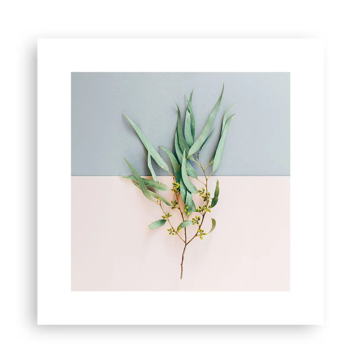 Poster - Delicatezza pastello - 30x30 cm