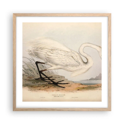 Poster in cornice rovere chiaro - La signora nel canneto - 50x50 cm