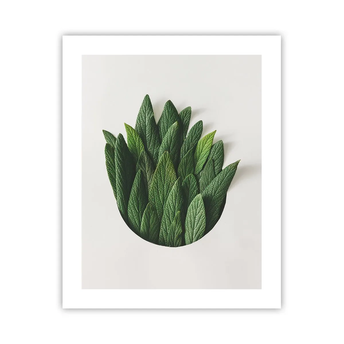 Poster - Curiosità irrefrenabile - 40x50 cm