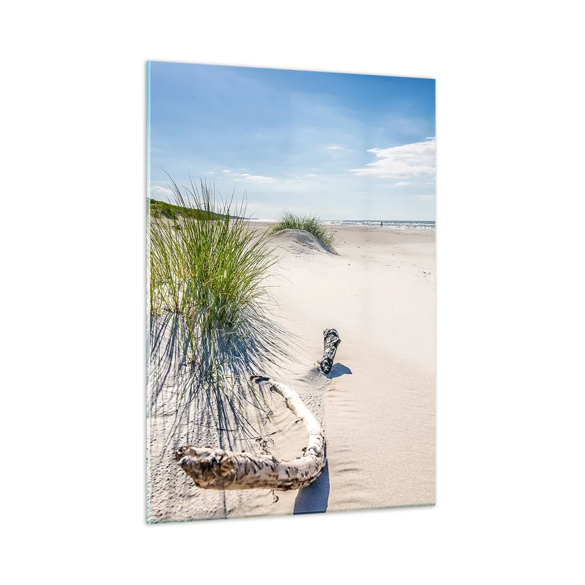 Quadro su vetro - Una spiaggia soleggiata con dune e alghe marine - 50x70cm - La più bella? Quella del baltico - Decorazione murale moderna per soggiorno e camera da letto ARTTOR