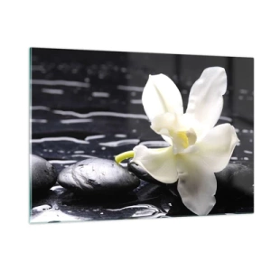 Quadro su vetro - Orchidea bianca su pietre nere bagnate - 120x80cm - Studio in bianco e nero - Decorazione murale moderna per soggiorno e camera da letto ARTTOR