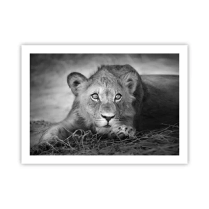 Poster - Cucciolo reale - 70x50 cm