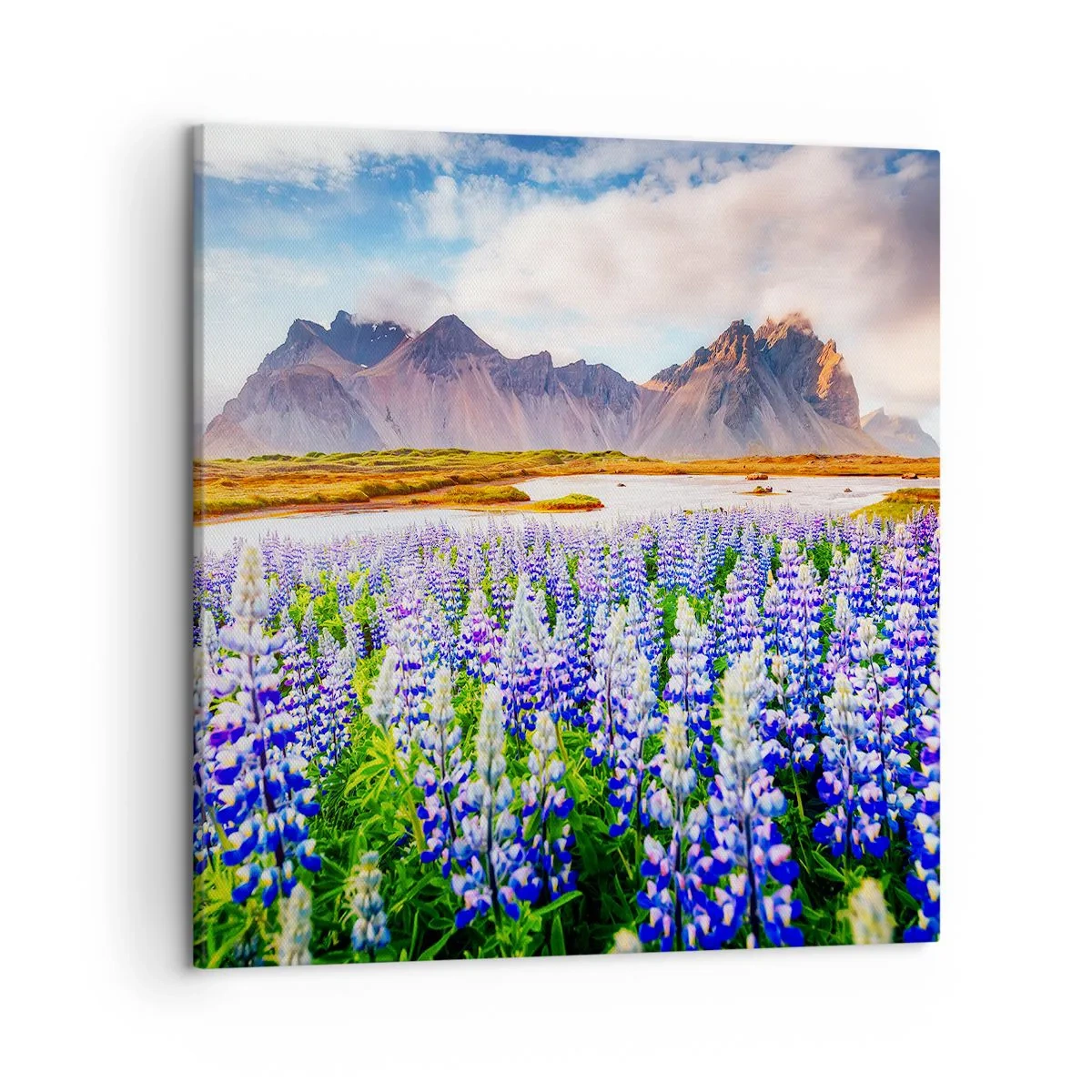 Quadro su tela - Stampe su Tela - Forza e asprezza accanto alla mitezza - 50x50 cm