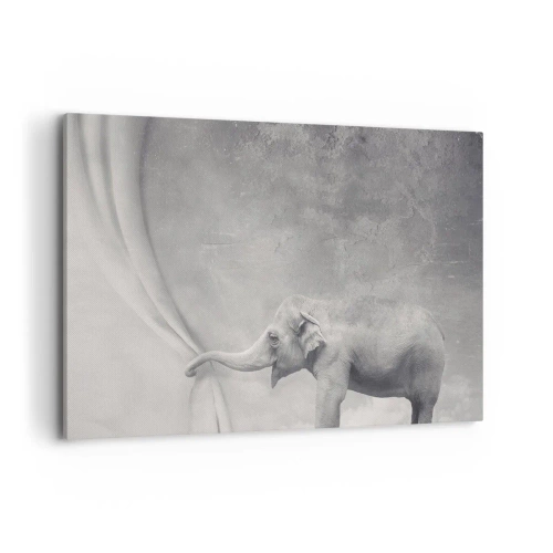 Quadro su tela - Stampe su Tela - Un elefante che scosta la tenda in una surreale ripresa in bianco e nero - 100x70cm - Svelare il mistero - Decorazione murale moderna per soggiorno e camera da letto ARTTOR
