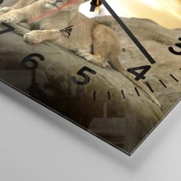 Quadrante con numeri