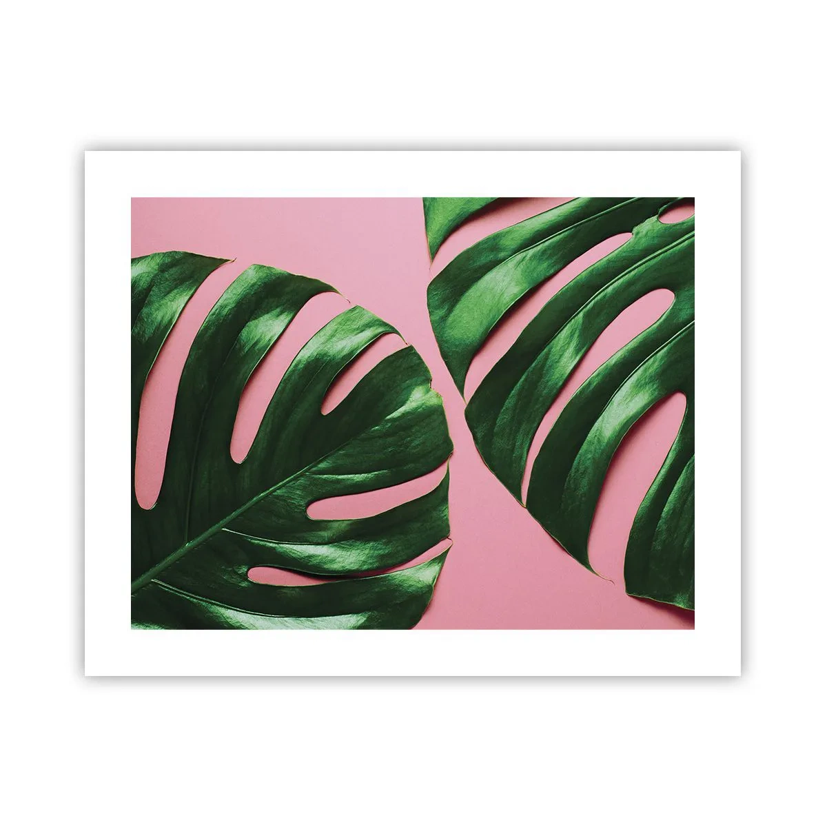 Poster - Appuntamento in verde - 50x40 cm