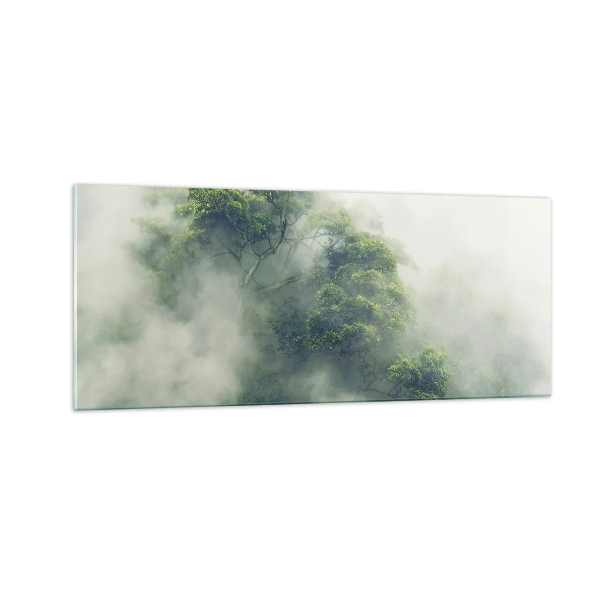 Quadro su vetro - Avvolti dalla nebbia - 100x40 cm