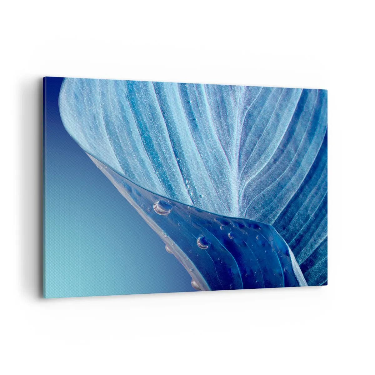 Quadro su tela - Stampe su Tela - Una foglia blu con gocce d'acqua visibili - 100x70cm - Gocce di blu nascoste - Decorazione murale moderna per soggiorno e camera da letto ARTTOR