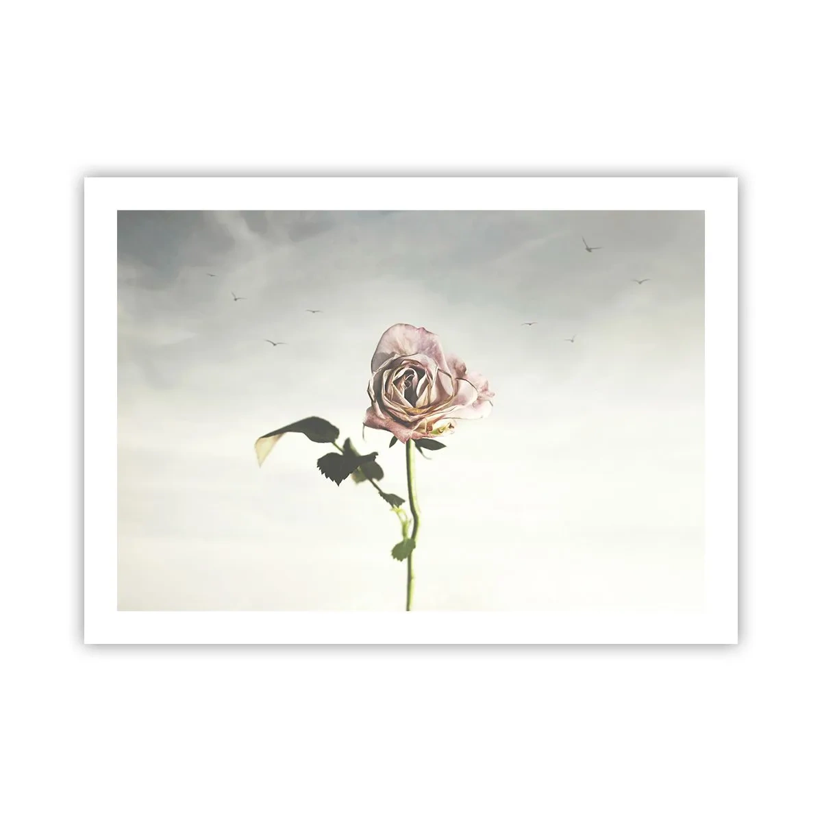 Poster - Il benvenuto alla primavera - 70x50 cm