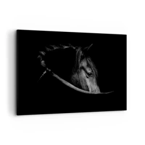 Quadro su tela - Stampe su Tela - Ritratto in bianco e nero di un cavallo con un sottile gioco di luci e ombre su uno sfondo scuro. - 120x80cm - Il principe nero - Decorazione murale moderna per soggiorno e camera da letto ARTTOR