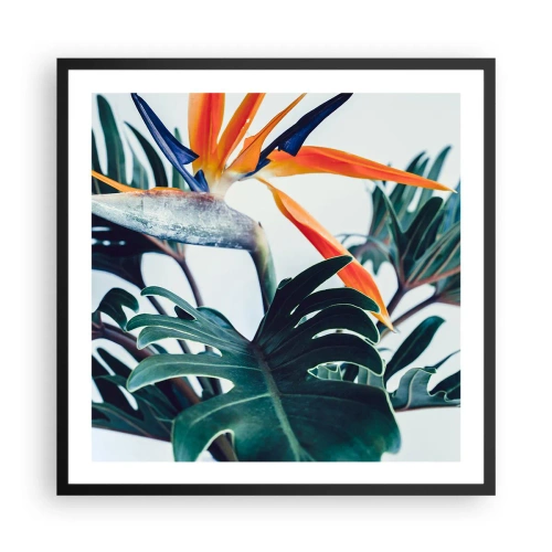 Poster in cornice nera - Pianta uccello - 60x60 cm