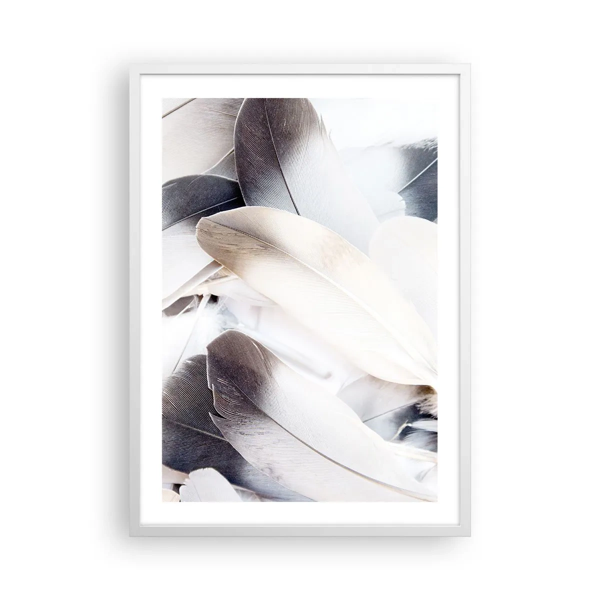 Poster in cornice bianca - Quasi angeliche - 50x70 cm