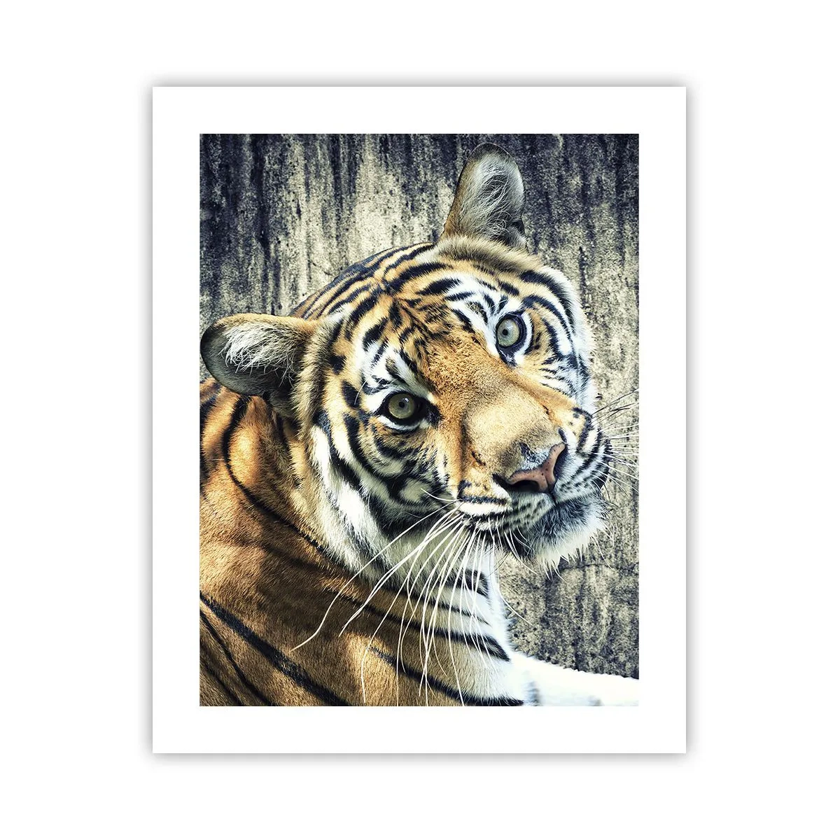 Poster - Ritratto nei flussi di luce - 40x50 cm