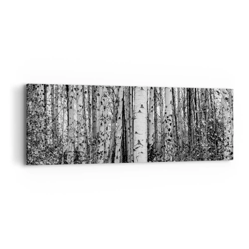 Quadro su tela - Stampe su Tela - Colonnato di betulle - 90x30 cm