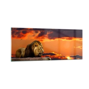 Quadro su vetro - Il re della natura - 100x40 cm