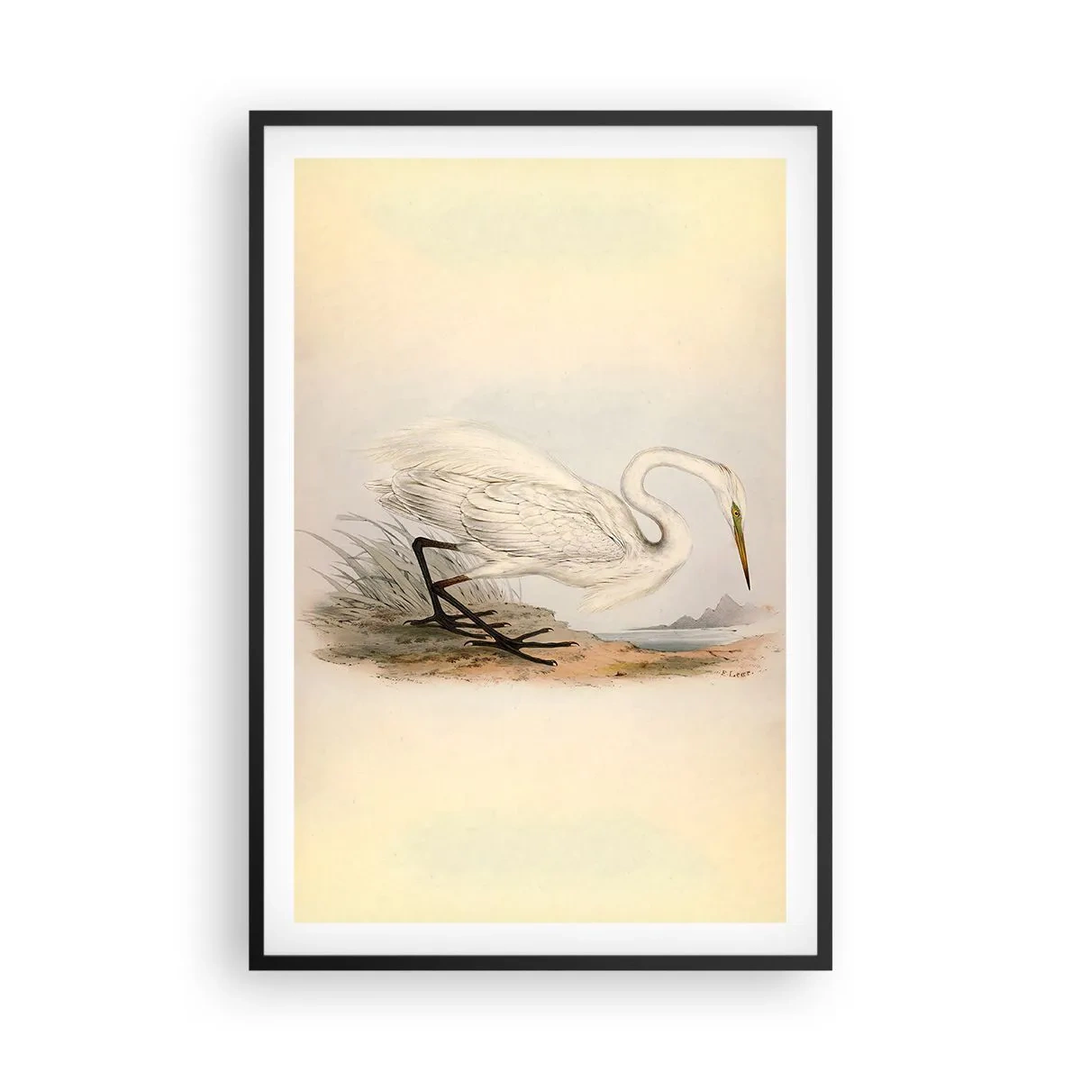 Poster in cornice nera - La signora nel canneto - 61x91 cm