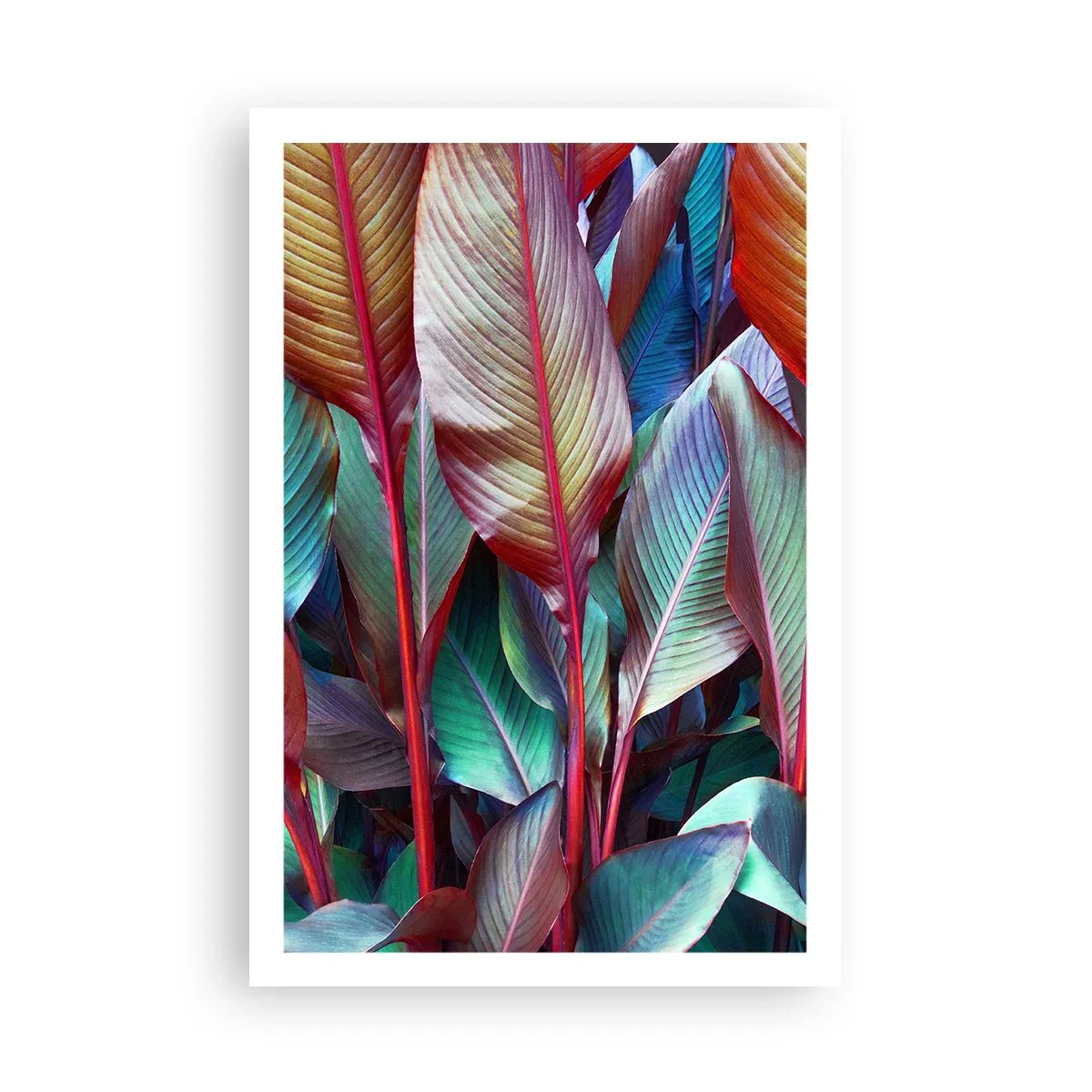 Poster - Selva colorata - 61x91 cm