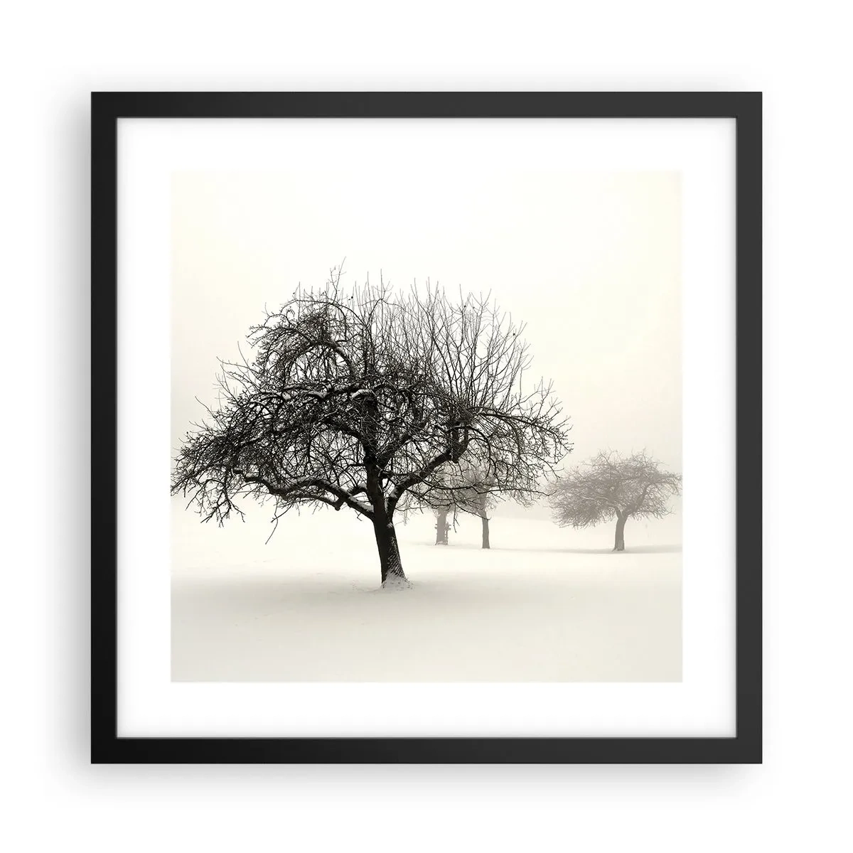 Poster in cornice nera - Sogno invernale - 40x40 cm