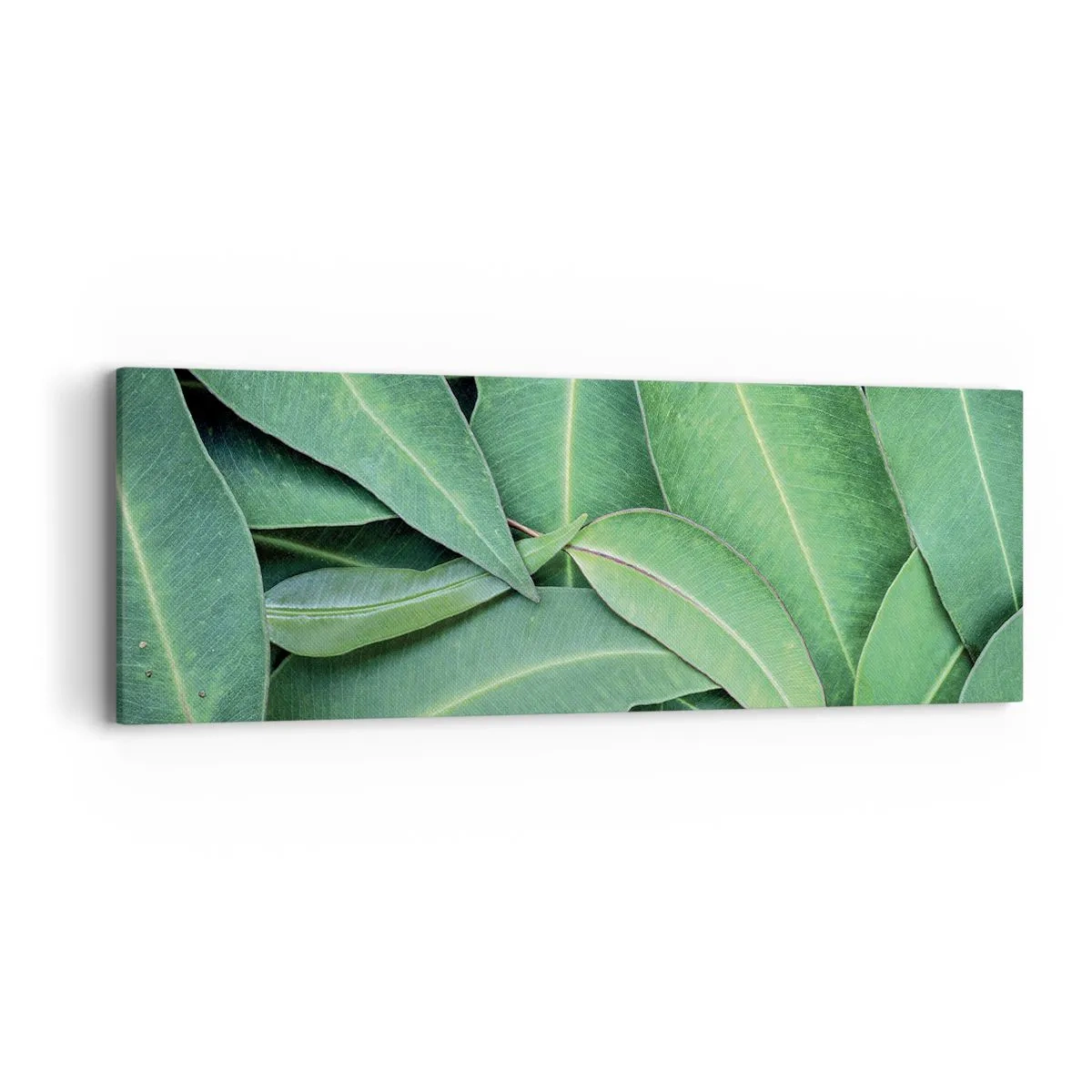 Quadro su tela - Stampe su Tela - Succosi e freschi - 90x30 cm