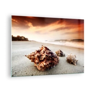 Quadro su vetro - Conchiglie sulla spiaggia al tramonto - 70x50cm - Esiliate dalle onde - Decorazione murale moderna per soggiorno e camera da letto ARTTOR