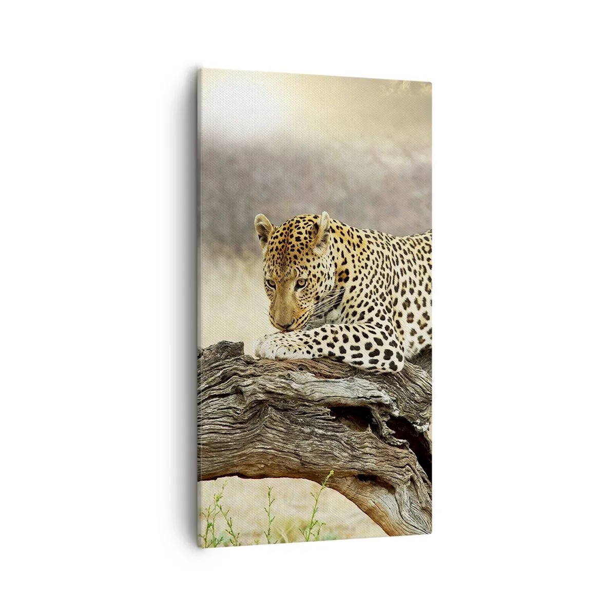 Quadro su tela - Stampe su Tela - Vado per la mia strada - 55x100 cm