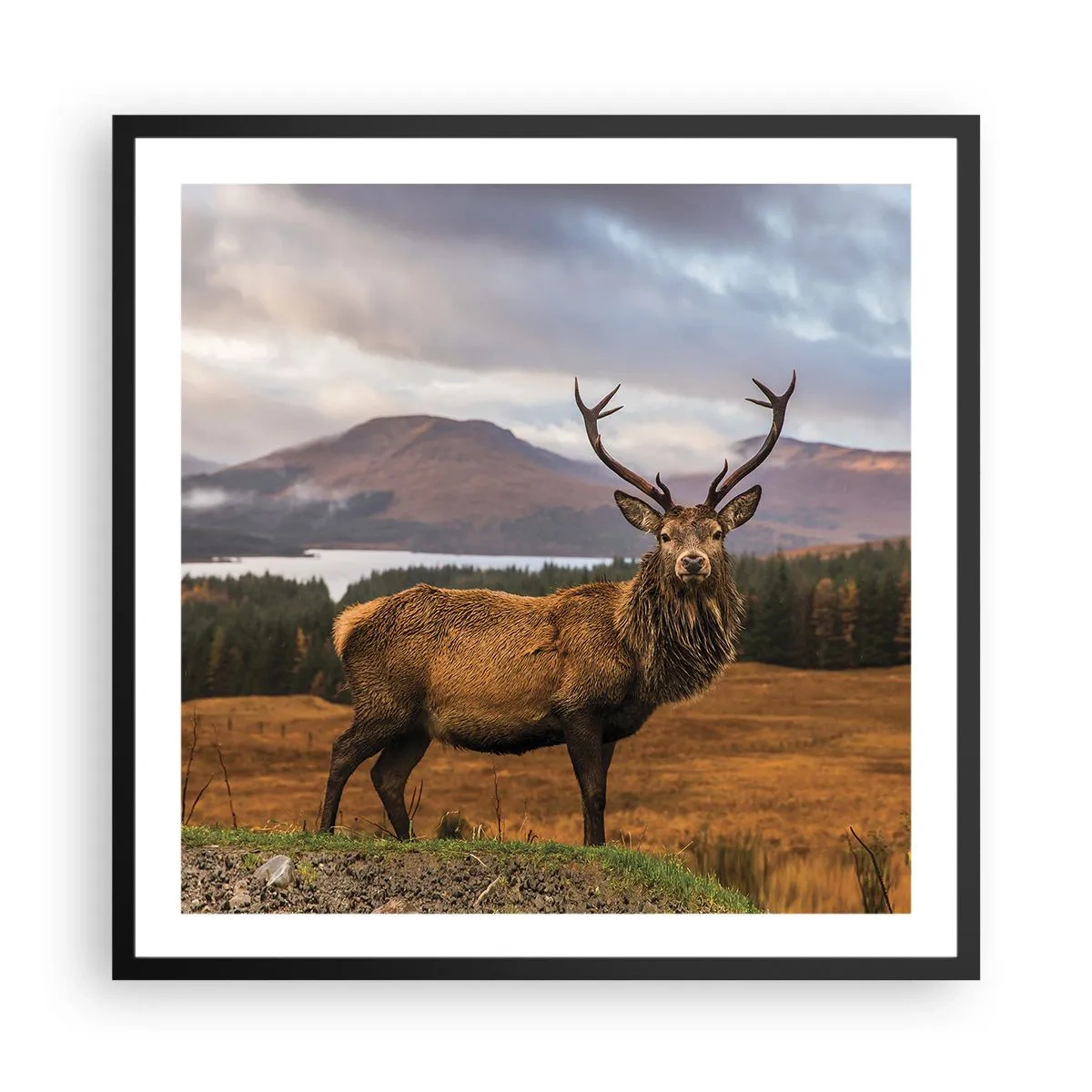 Poster in cornice nera - Maestà della natura - 60x60 cm