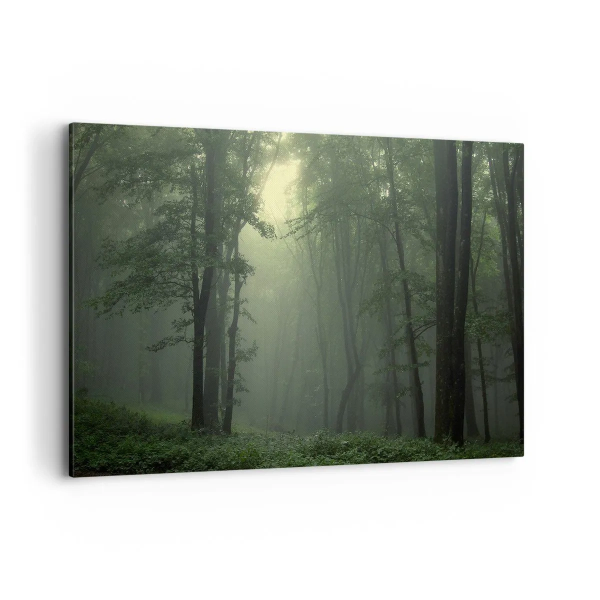 Quadro su tela - Stampe su Tela - Una foresta verde al mattino avvolta in una delicata nebbia - 120x80cm - Prima che si svegli - Decorazione murale moderna per soggiorno e camera da letto ARTTOR