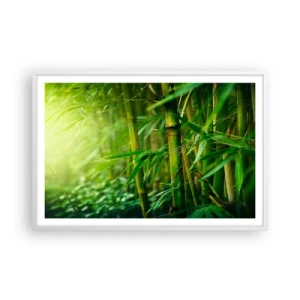 Poster in cornice bianca - Conoscere il verde in sé - 91x61 cm