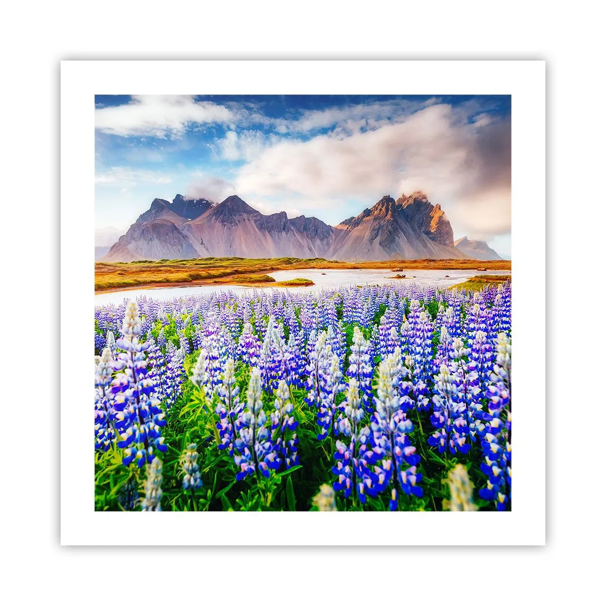 Poster - Forza e asprezza accanto alla mitezza - 50x50 cm