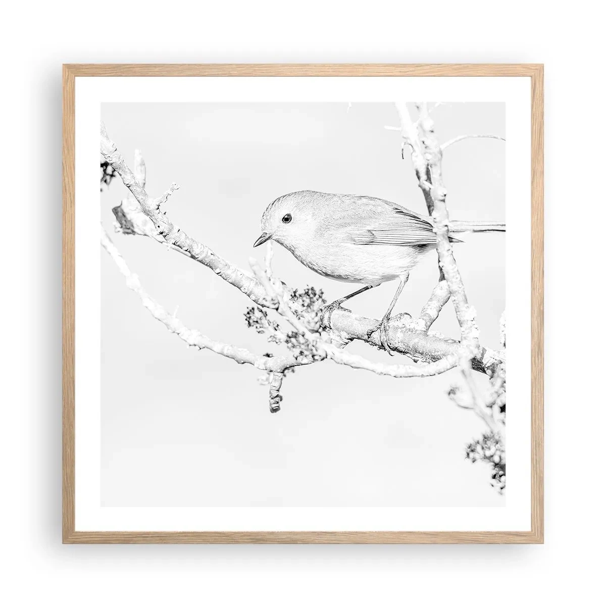 Poster in cornice rovere chiaro - Mattino invernale - 60x60 cm