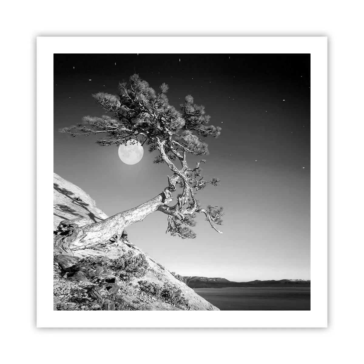 Poster - Guerriera vittoriosa - 60x60 cm