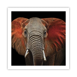 Poster - Sono selvaggio e tu? - 60x60 cm