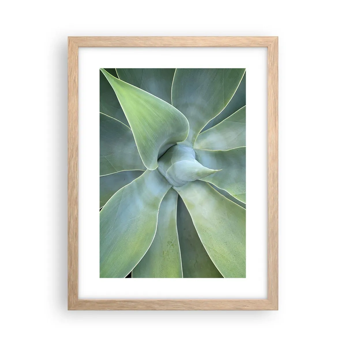 Poster in cornice rovere chiaro - La nascita del verde - 30x40 cm