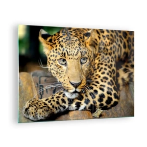 Quadro su vetro - Leopardo appoggiato su una superficie di legno - 70x50cm - Non temere, avvicinati - Decorazione murale moderna per soggiorno e camera da letto ARTTOR