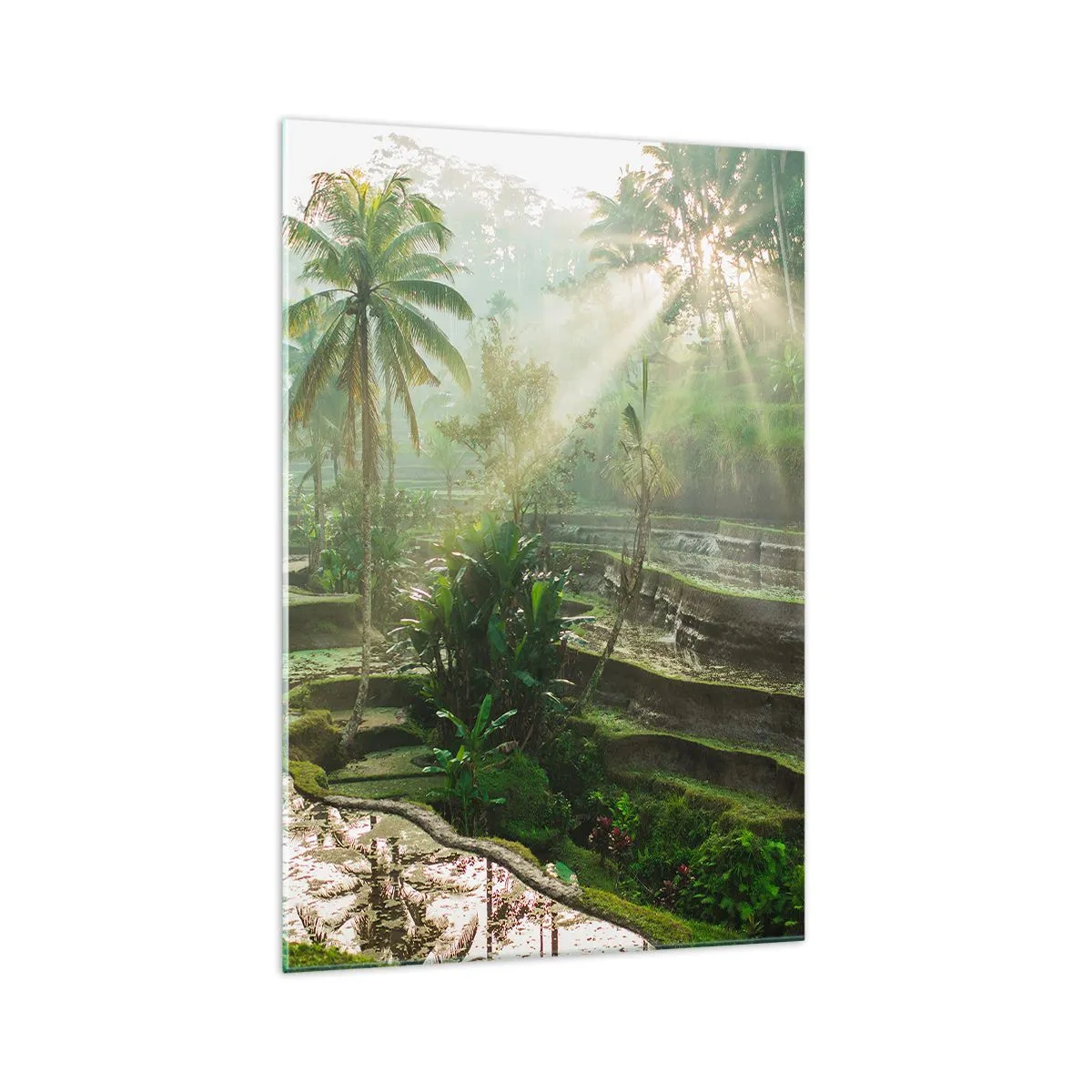 Quadro su vetro - Terrazze di riso con palme sotto i raggi del sole - 70x100cm - Crescere al sole - Decorazione murale moderna per soggiorno e camera da letto ARTTOR