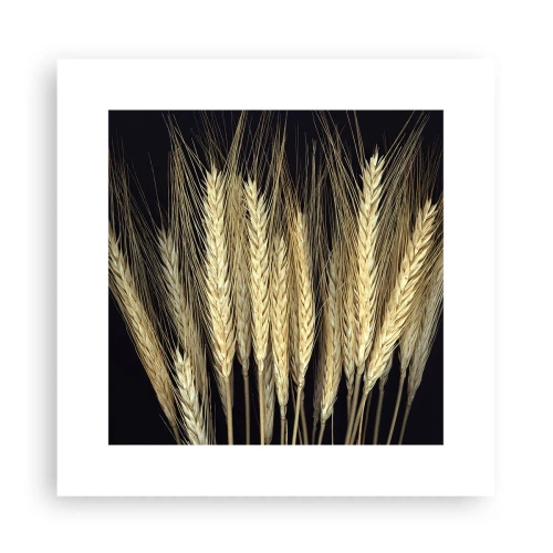 Poster - Magia rustica - 30x30 cm