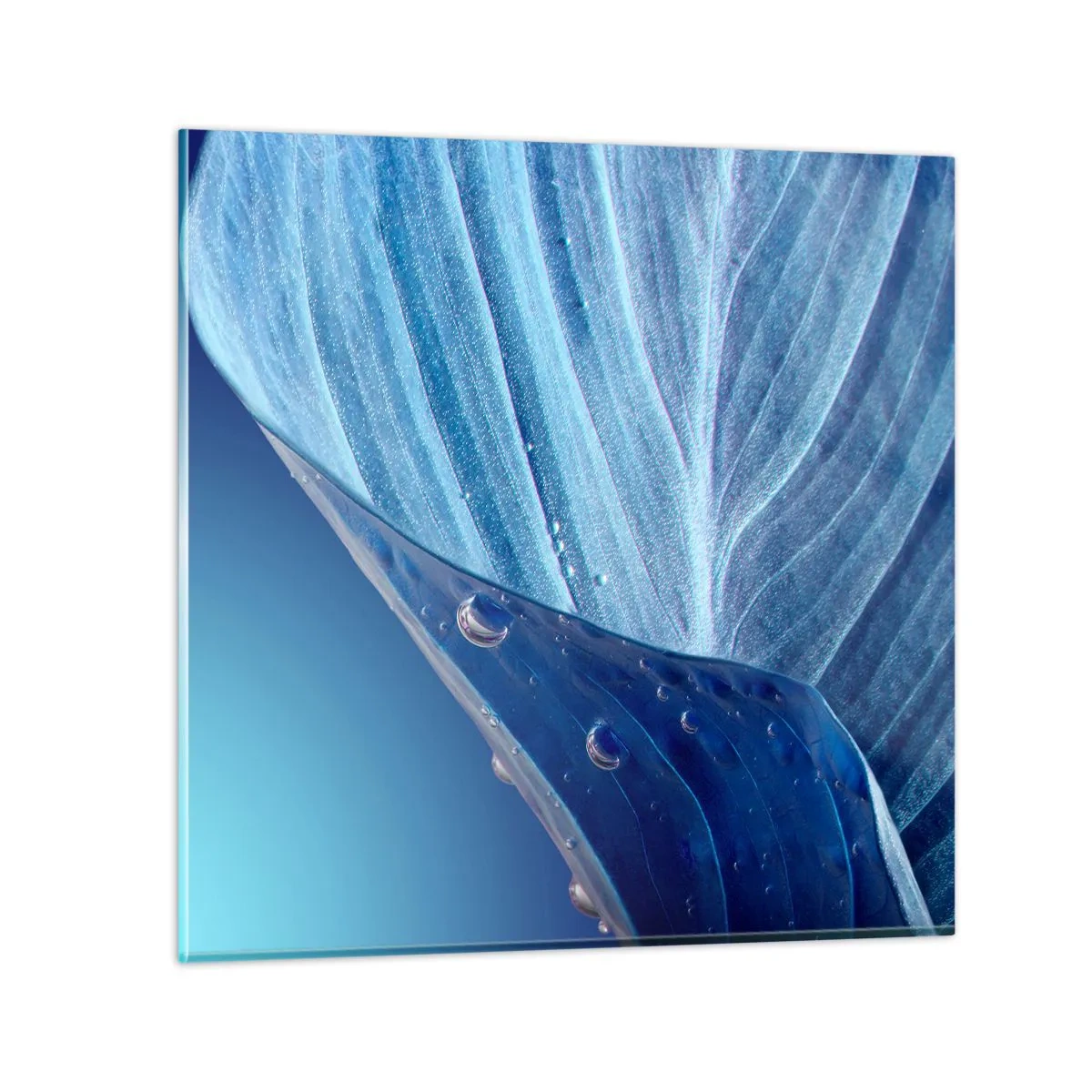 Quadro su vetro - Gocce di blu nascoste - 50x50 cm