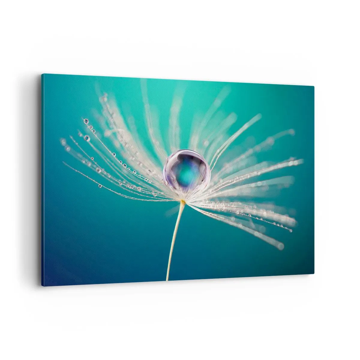 Quadro su tela - Stampe su Tela - Macro di una goccia d'acqua su un delicato seme di tarassaco - 120x80cm - Attimo mistico - Decorazione murale moderna per soggiorno e camera da letto ARTTOR