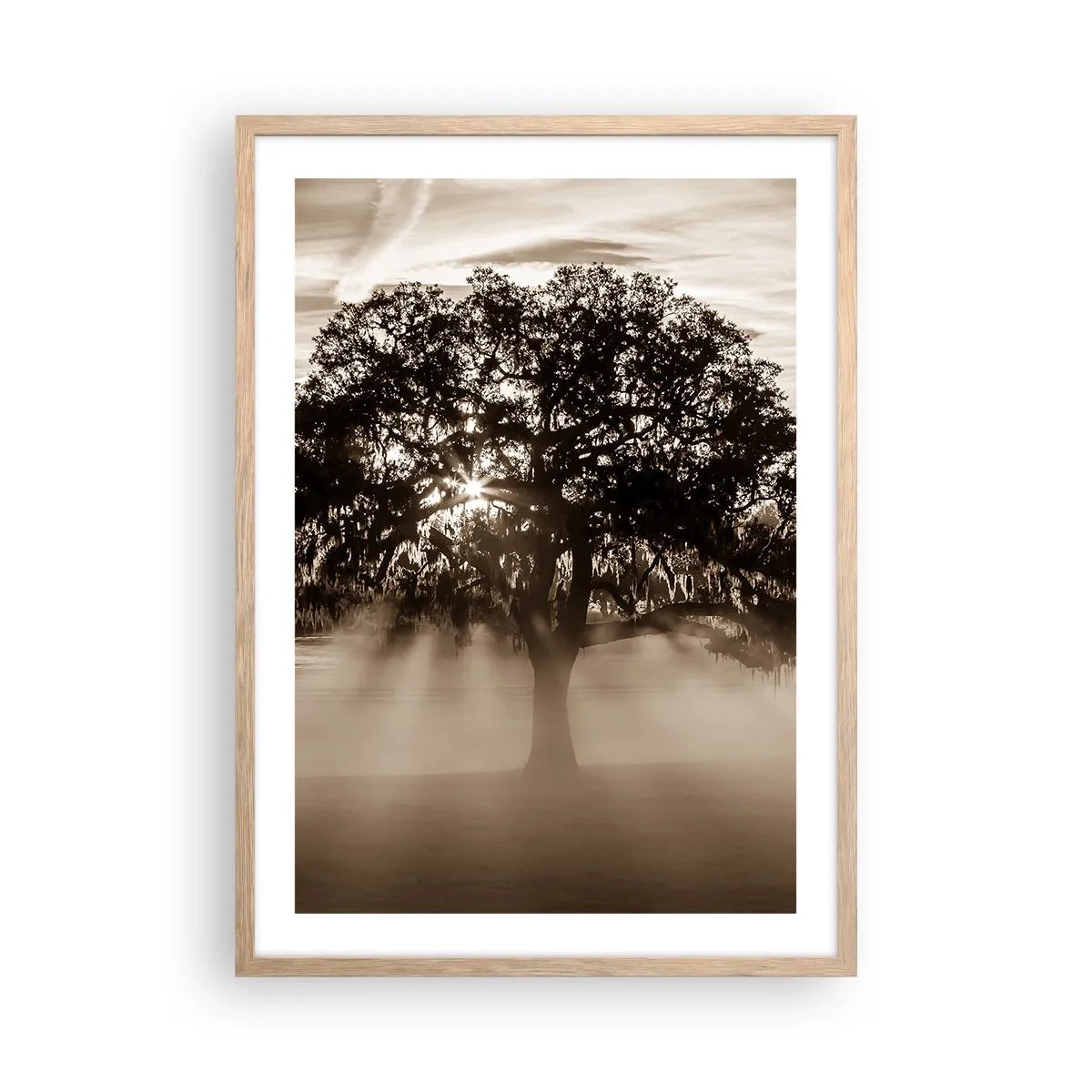 Poster in cornice rovere chiaro - L'albero delle sole buone notizie - 50x70 cm
