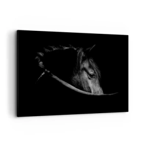 Quadro su tela - Stampe su Tela - Ritratto in bianco e nero di un cavallo con un sottile gioco di luci e ombre su uno sfondo scuro. - 100x70cm - Il principe nero - Decorazione murale moderna per soggiorno e camera da letto ARTTOR