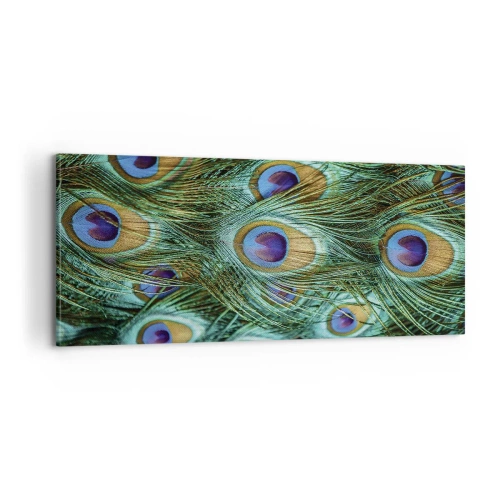 Quadro su tela - Stampe su Tela - Lo sguardo del pavone - 100x40 cm